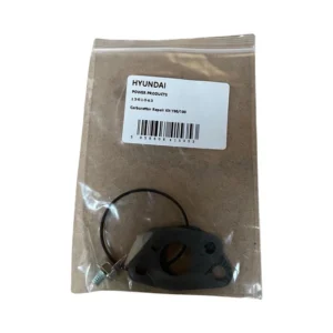 Genuine Carburettor Repair Kit Hyundai HYM400P & P1PE P4100P Y80/100 Engines